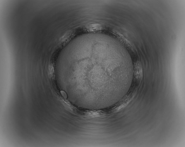 X0000116850523200912221121