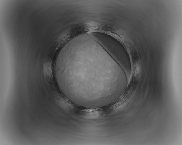 X0000116850524200912221121