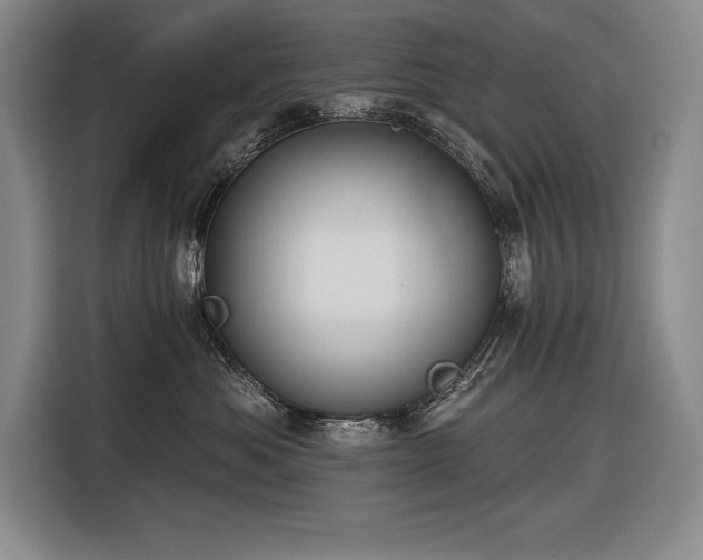 X0000116850525200912221121