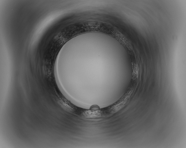 X0000116850526200912221121