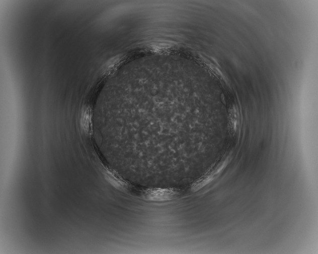 X0000116850527200912221121