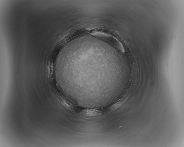 X0000116850528200912221121