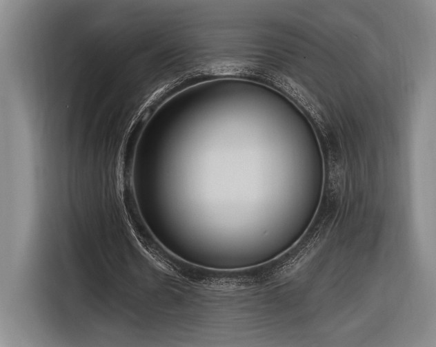 X0000116850530200912221120