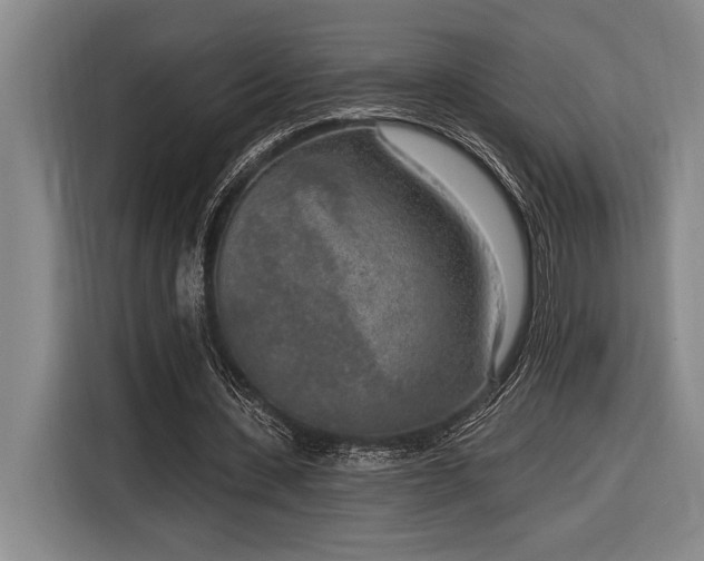 X0000116850531200912221120