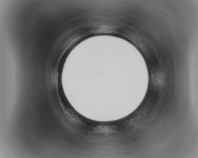 X0000116850534200912221121