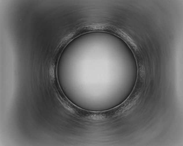 X0000116850537200912221121