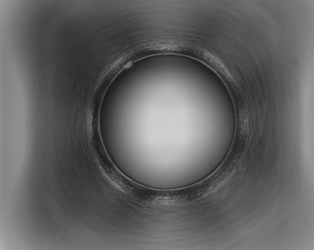 X0000116850538200912221121