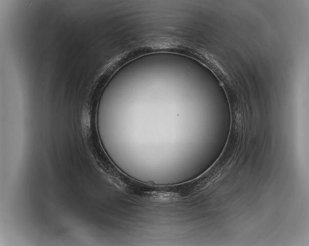 X0000116850539200912221121