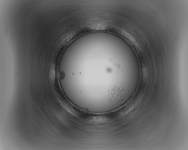 X0000116850541200912221121