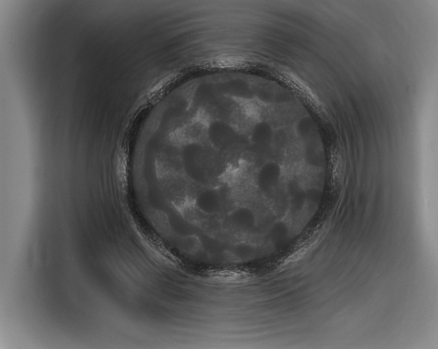 X0000116850542200912221121