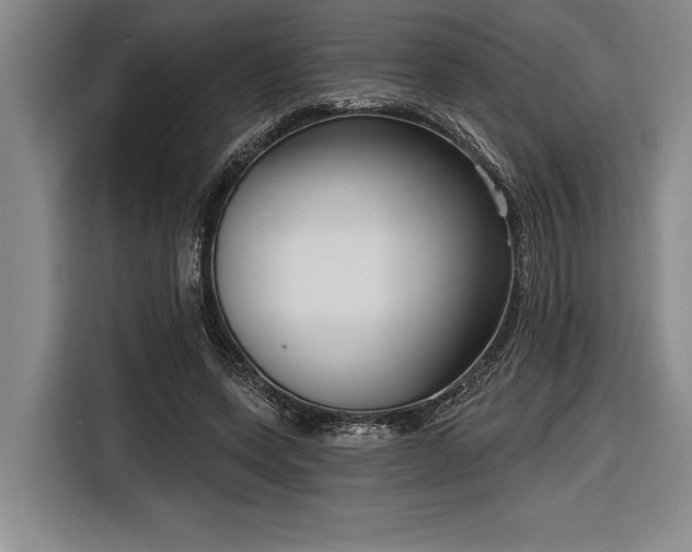 X0000116850543200912221121