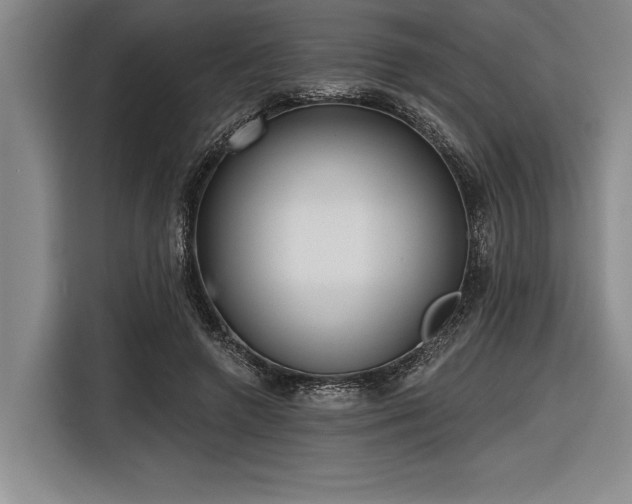 X0000116850546200912221121