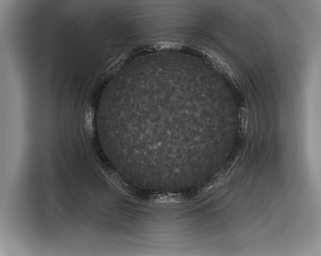 X0000116850550200912221121