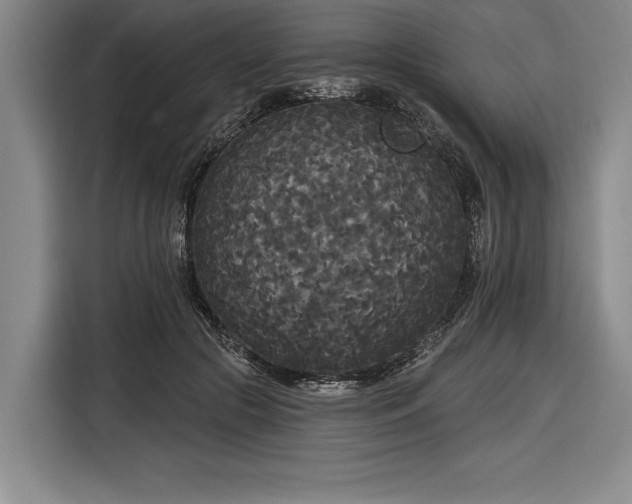 X0000116850553200912221121