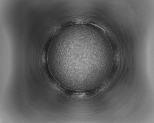 X0000116850554200912221121