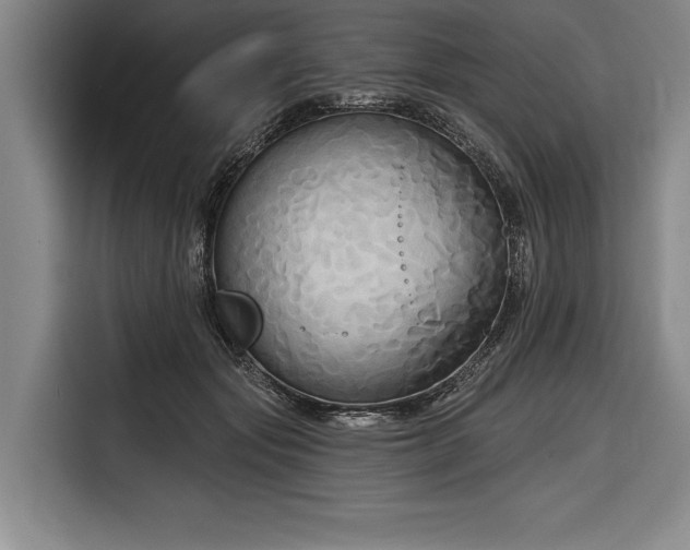 X0000116850557200912221121