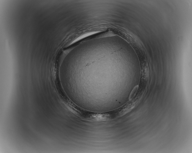 X0000116850558200912221121