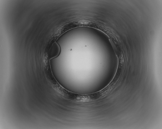 X0000116850559200912221121