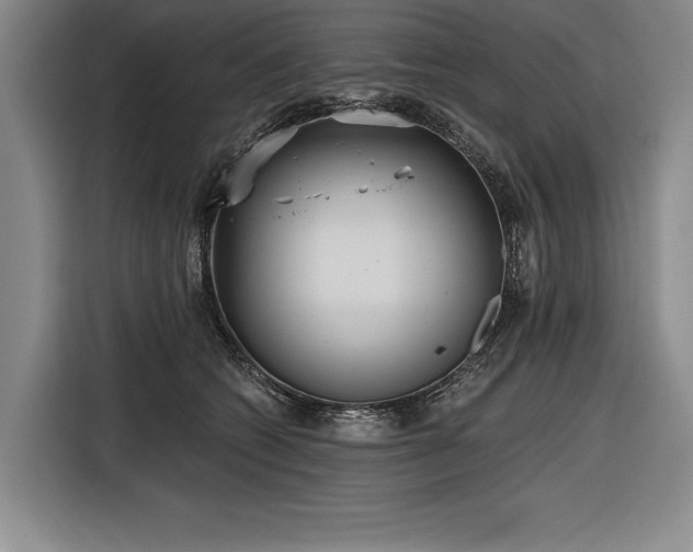 X0000116850562200912221121