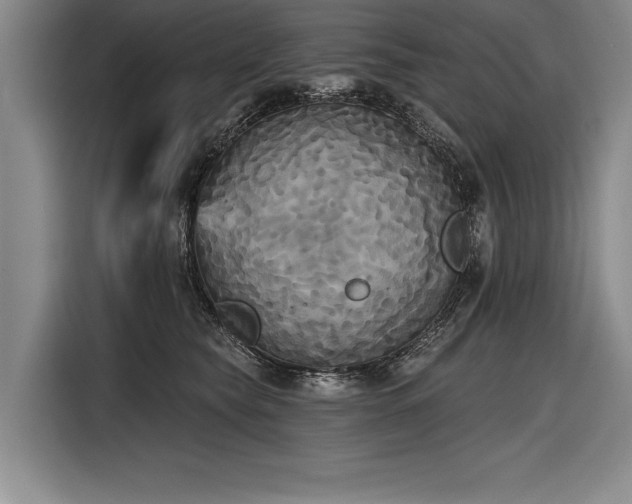 X0000116850565200912221121