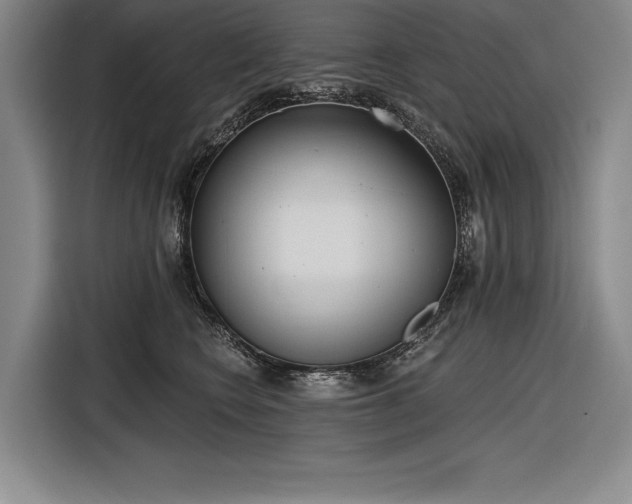 X0000116850566200912221121