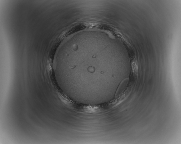 X0000116850570200912221121