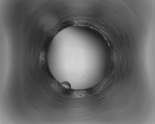 X0000116850571200912221121