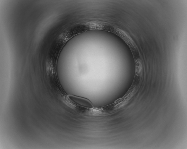X0000116850573200912221121