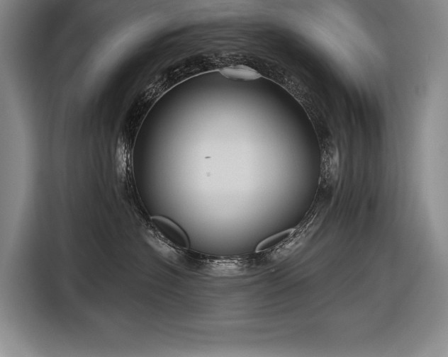 X0000116850574200912221121