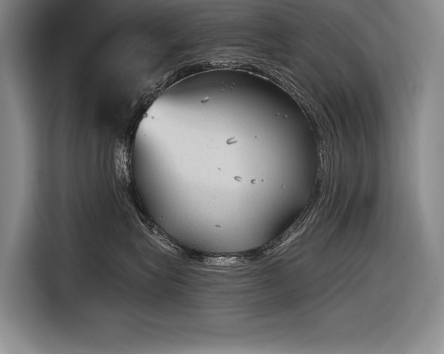 X0000116850575200912221121