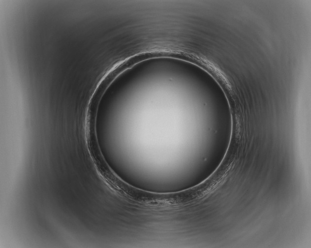 X0000116850580200912221120