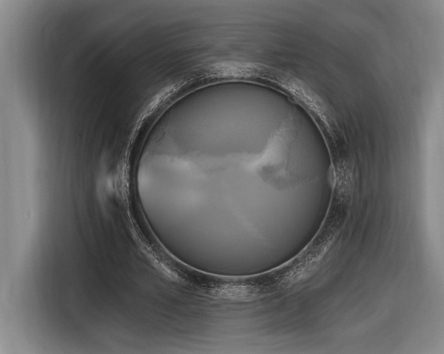 X0000116850581200912221120