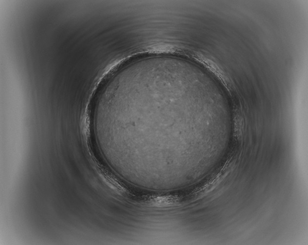 X0000116850584200912221120