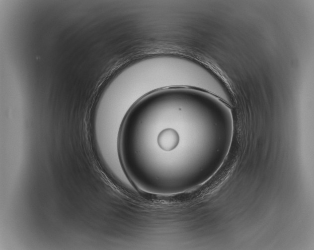 X0000116850585200912221120