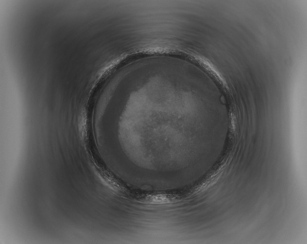 X0000116850588200912221120