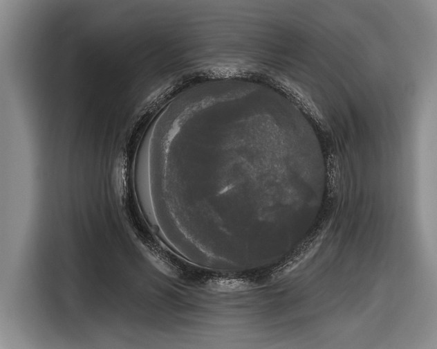 X0000116850590200912221120