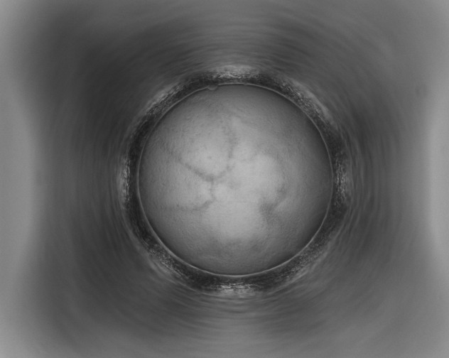 X0000116850591200912221120