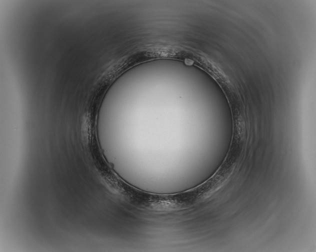 X0000116850594200912221120