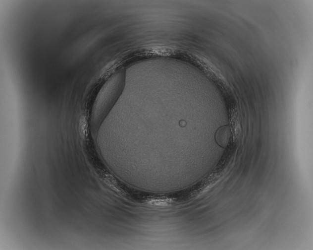 X0000116850595200912221120