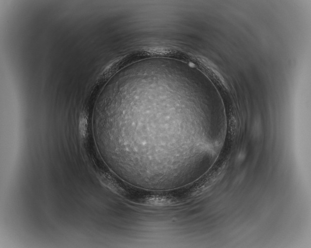 X0000116850596200912221120