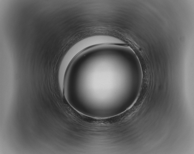 X0000116850597200912221120