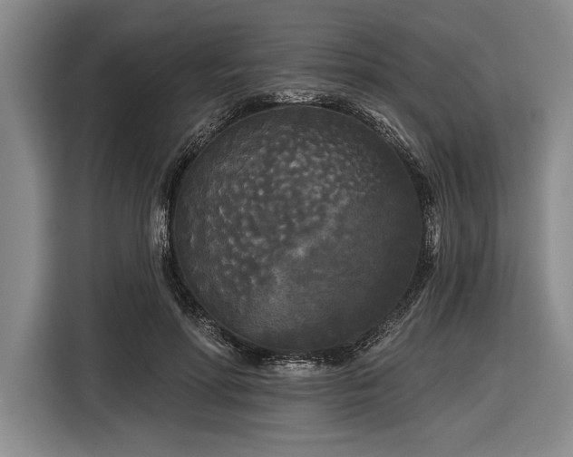 X0000116850598200912221120