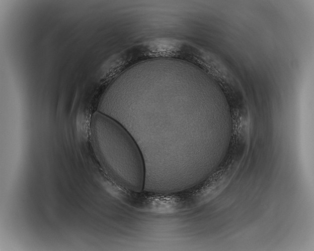X0000116850599200912221120