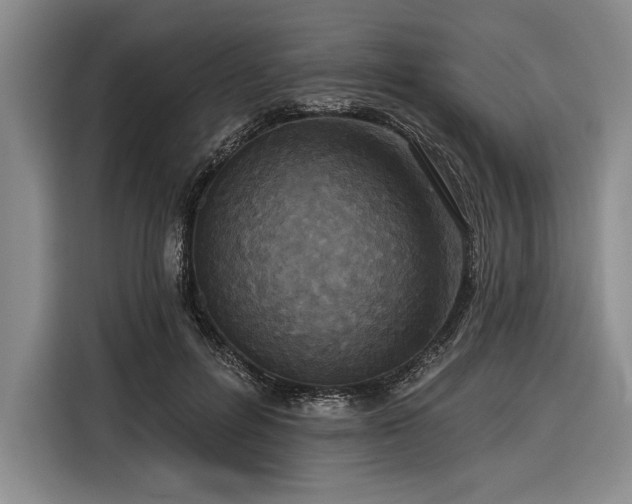 X0000116850600200912221120