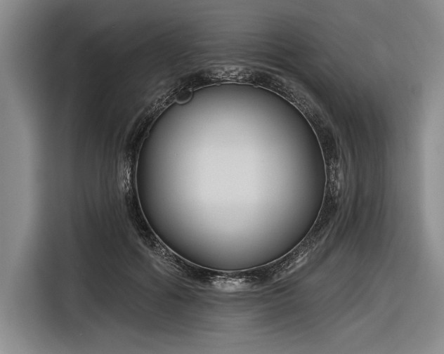 X0000116850602200912221120