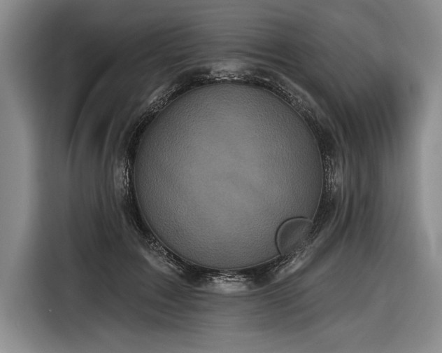 X0000116850603200912221120