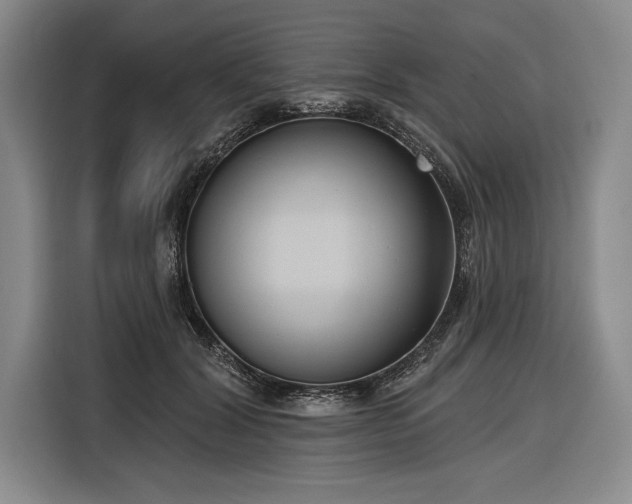 X0000116850604200912221120