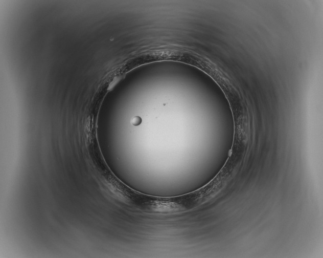 X0000116850605200912221120