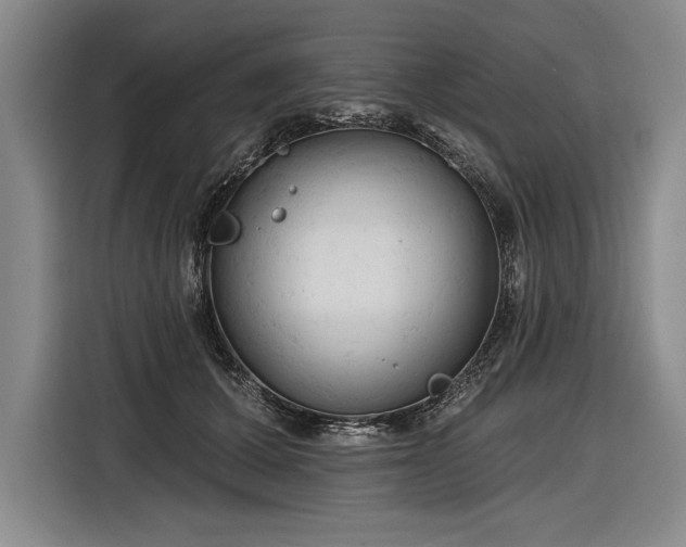 X0000116850607200912221120