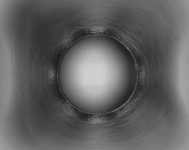 X0000116850608200912221120